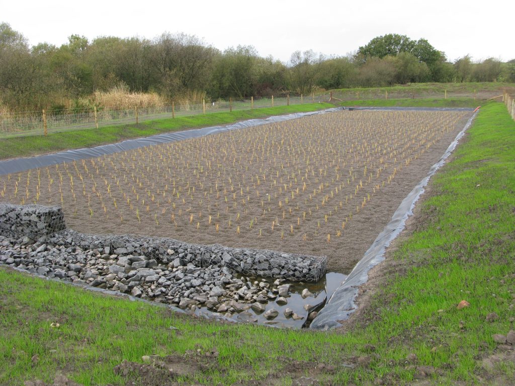 reed-bed-constructed-wetland-lining-butek-landline